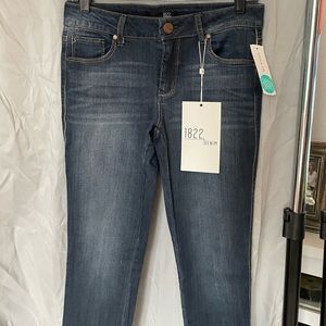 Berlin Vintage Skinny Jeans